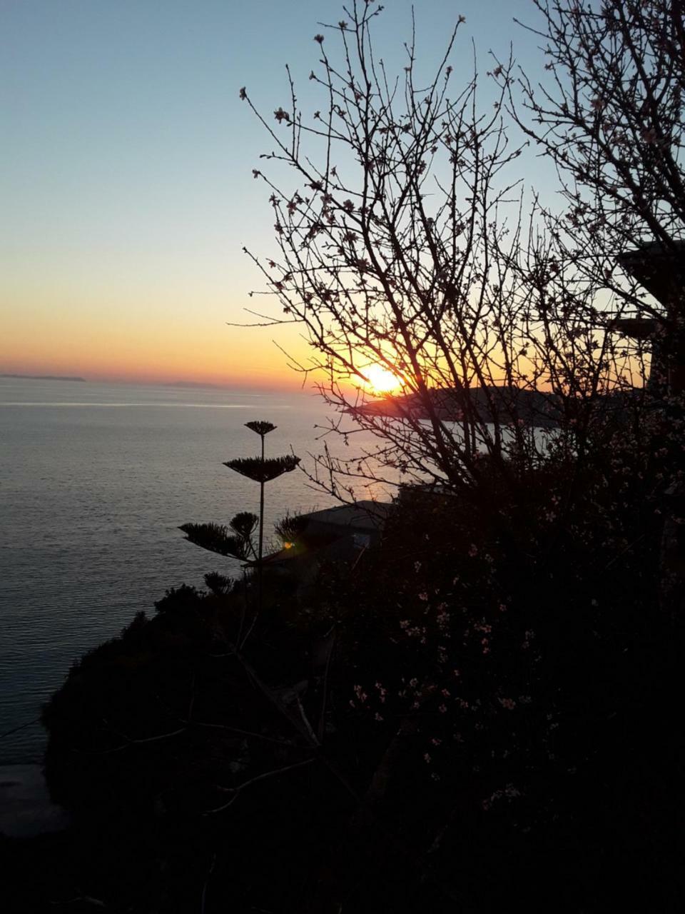 Odhisea Hotel Restaurant Qeparo Dış mekan fotoğraf